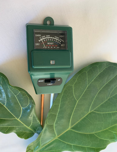 A meter with three settings: moisture, pH, light.