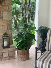 Load image into Gallery viewer, A brown woven basket outside by a fireplace with a fiddle-leaf fig outside.
