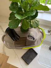 Load image into Gallery viewer, A fiddle-leaf fig next to a bucket, rags, gloves, and dish soap (the supplies for cleaning its leaves).
