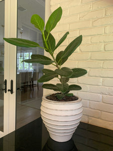 Porto Planter