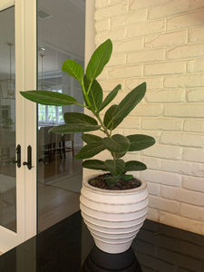 Porto Planter