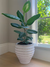 Load image into Gallery viewer, Porto Planter
