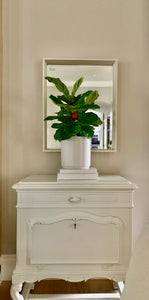A fiddle leaf fig in a matte white ceramic pot on a piece of white furniture in front of a mirror.