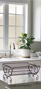 A starter fiddle-leaf fig in the background of a kitchen, sitting in a window in a ceramic pot.